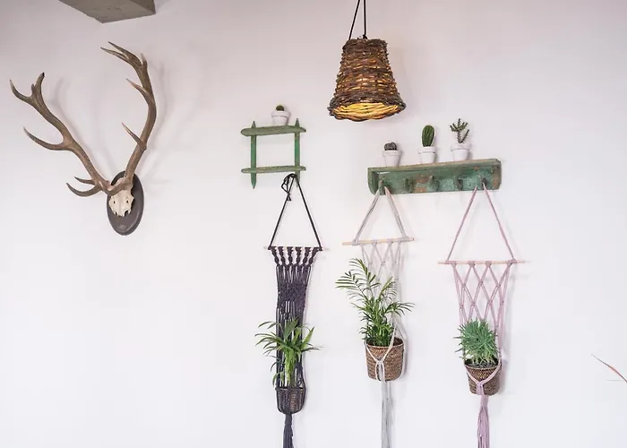 Casa Botanica - Island Location - 10 Mins Drive To Famara And La Santa Apartment Tao