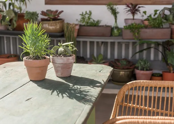 Casa Botanica - Island Location - 10 Mins Drive To Famara And La Santa *