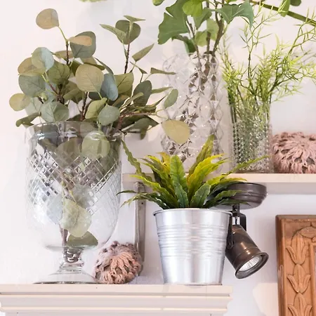 Casa Botanica - Island Location - 10 Mins Drive To Famara And La Santa * Tao