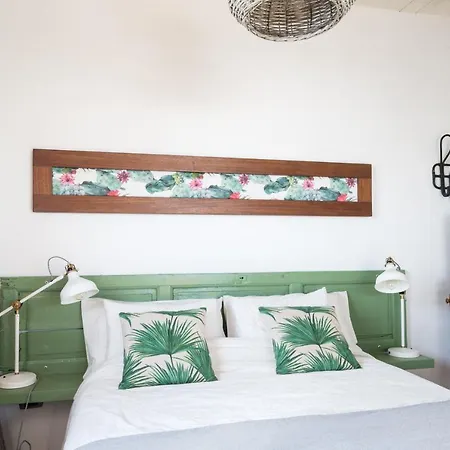 Casa Botanica - Island Location - 10 Mins Drive To Famara And La Santa