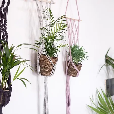 Apartmán Casa Botanica - Island Location - 10 Mins Drive To Famara And La Santa