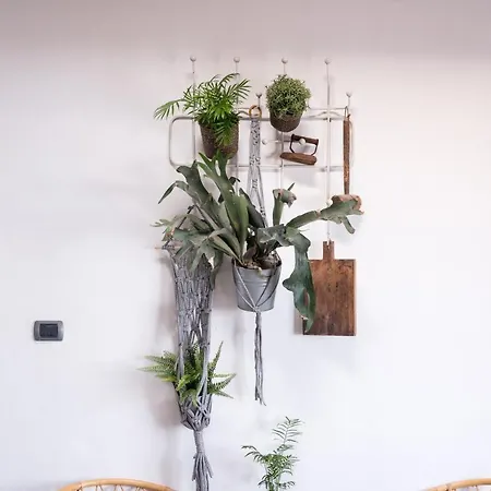 Apartmán Casa Botanica - Island Location - 10 Mins Drive To Famara And La Santa