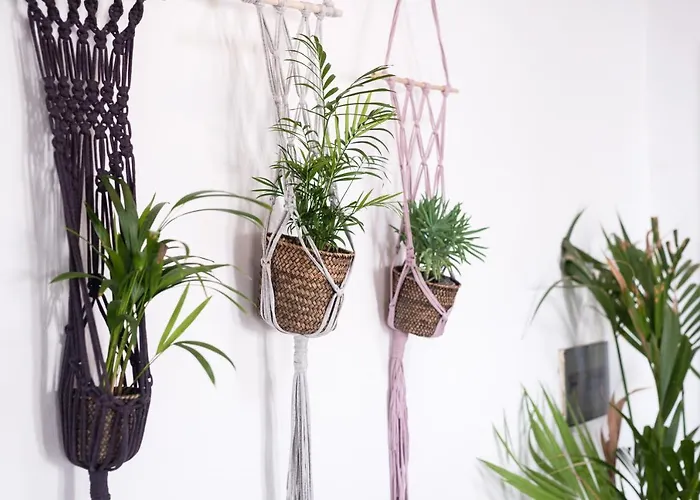 Διαμέρισμα Casa Botanica - Island Location - 10 Mins Drive To Famara And La Santa