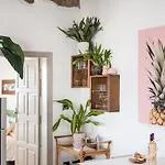 Casa Botanica - Island Location - 10 Mins Drive To Famara And La Santa * Tao