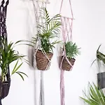 Apartamento Casa Botanica - Island Location - 10 Mins Drive To Famara And La Santa