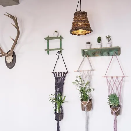 Casa Botanica - Island Location - 10 Mins Drive To Famara And La Santa Apartament Tao