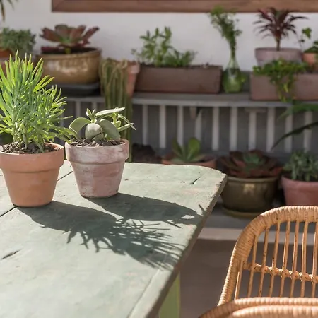 Casa Botanica - Island Location - 10 Mins Drive To Famara And La Santa *