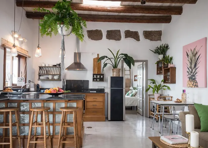 Casa Botanica - Island Location - 10 Mins Drive To Famara And La Santa Apartament